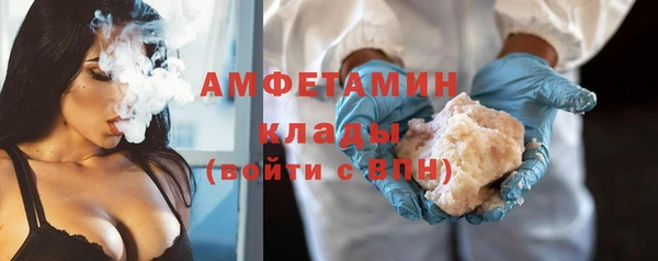 стаф Бородино