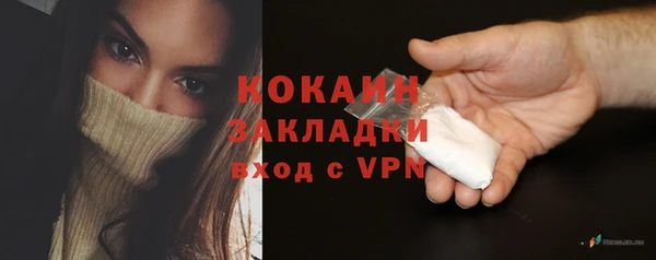 стаф Бородино