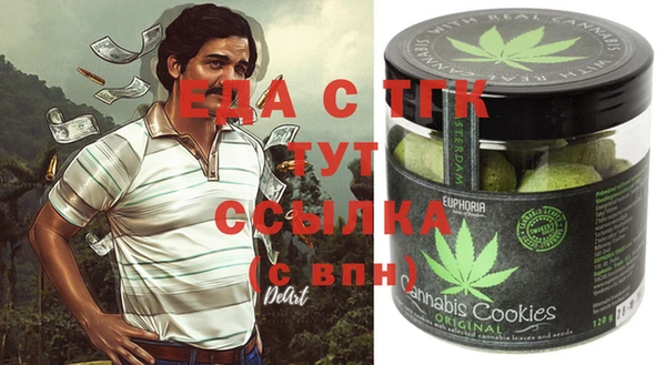 стаф Бородино