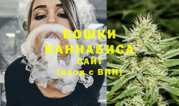 стаф Бородино