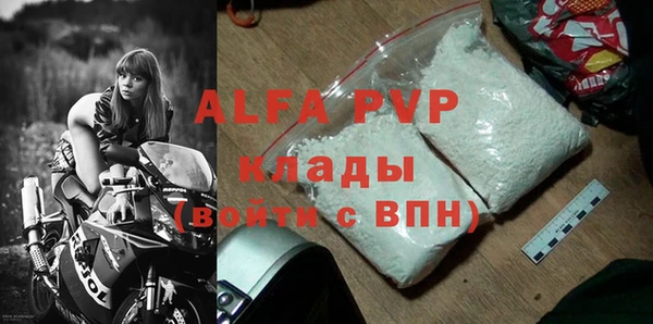 стаф Бородино