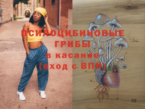 ECSTASY Богородск