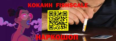стаф Гай