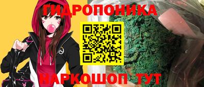 PSILOCYBIN Гатчина