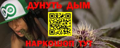 стаф Гай