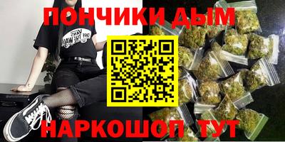 стаф Гай