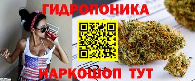 PSILOCYBIN Гатчина