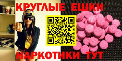 стаф Гай