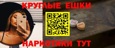 стаф Гай