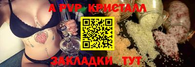 стаф Гай