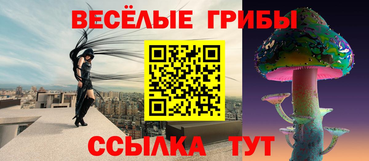 Галлюциногенные грибы MAGIC MUSHROOMS  Вход с VPN  где купить наркоту  Кузнецк 