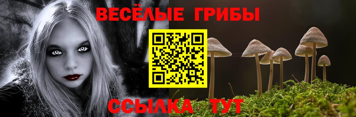 Галлюциногенные грибы Cubensis Кузнецк